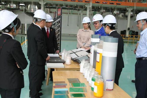 立足知識產(chǎn)權(quán)保護，協(xié)同企業(yè)創(chuàng)新發(fā)展——江州區(qū)法院舉辦新材料技術(shù)研發(fā)領(lǐng)域知識產(chǎn)權(quán)保護宣講座談會